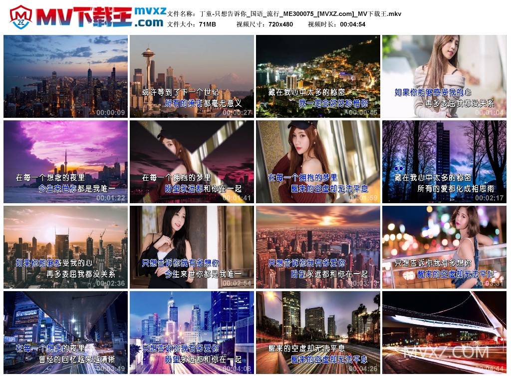 丁童-只想告诉你_国语_流行_ME300075